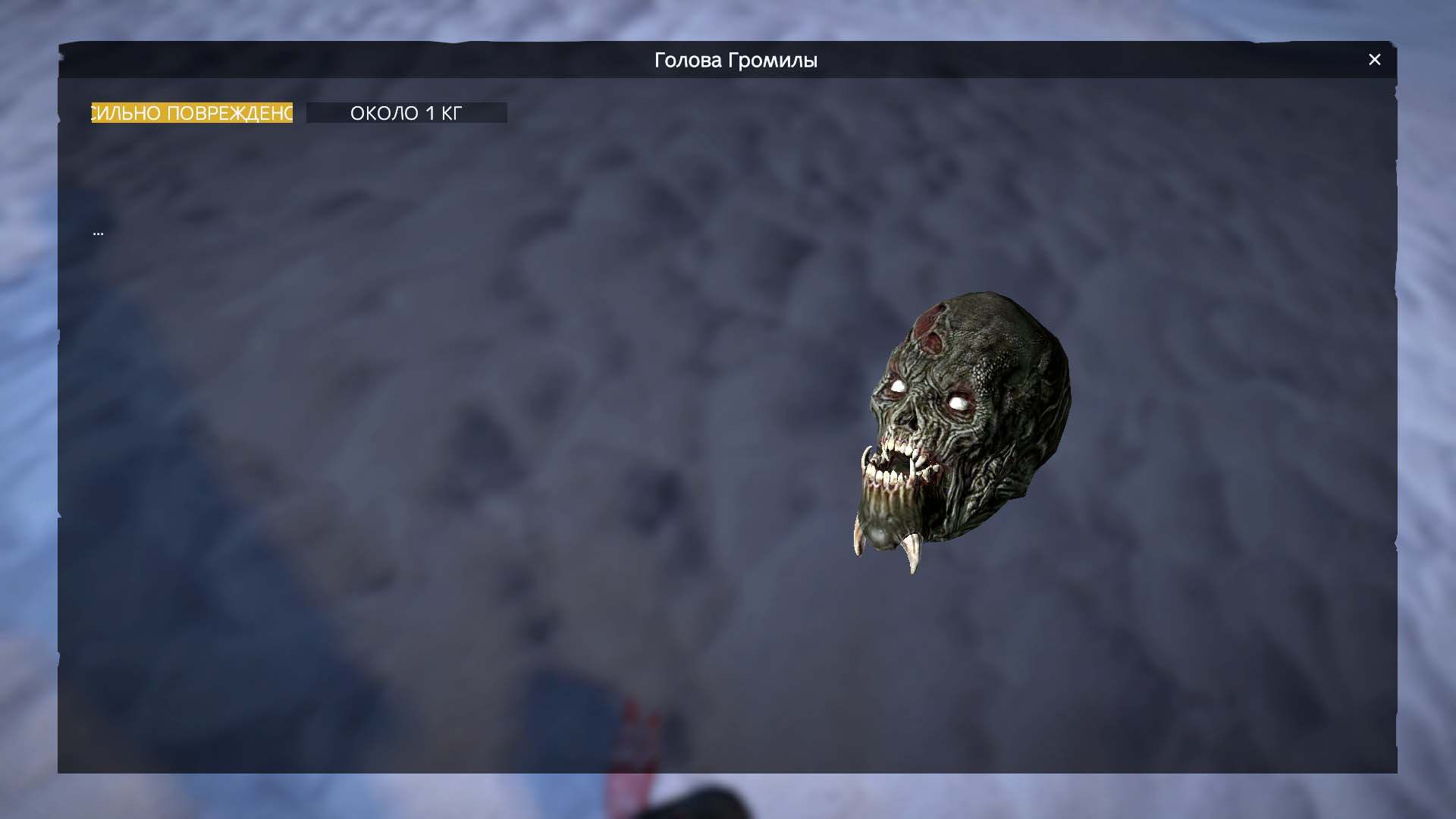 Изображение 6