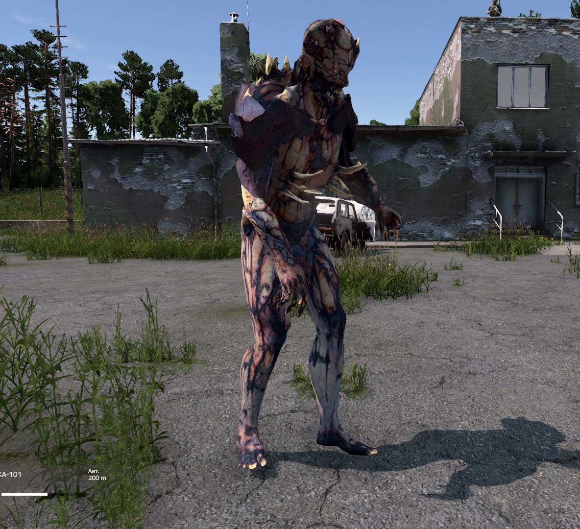 Изображение 9