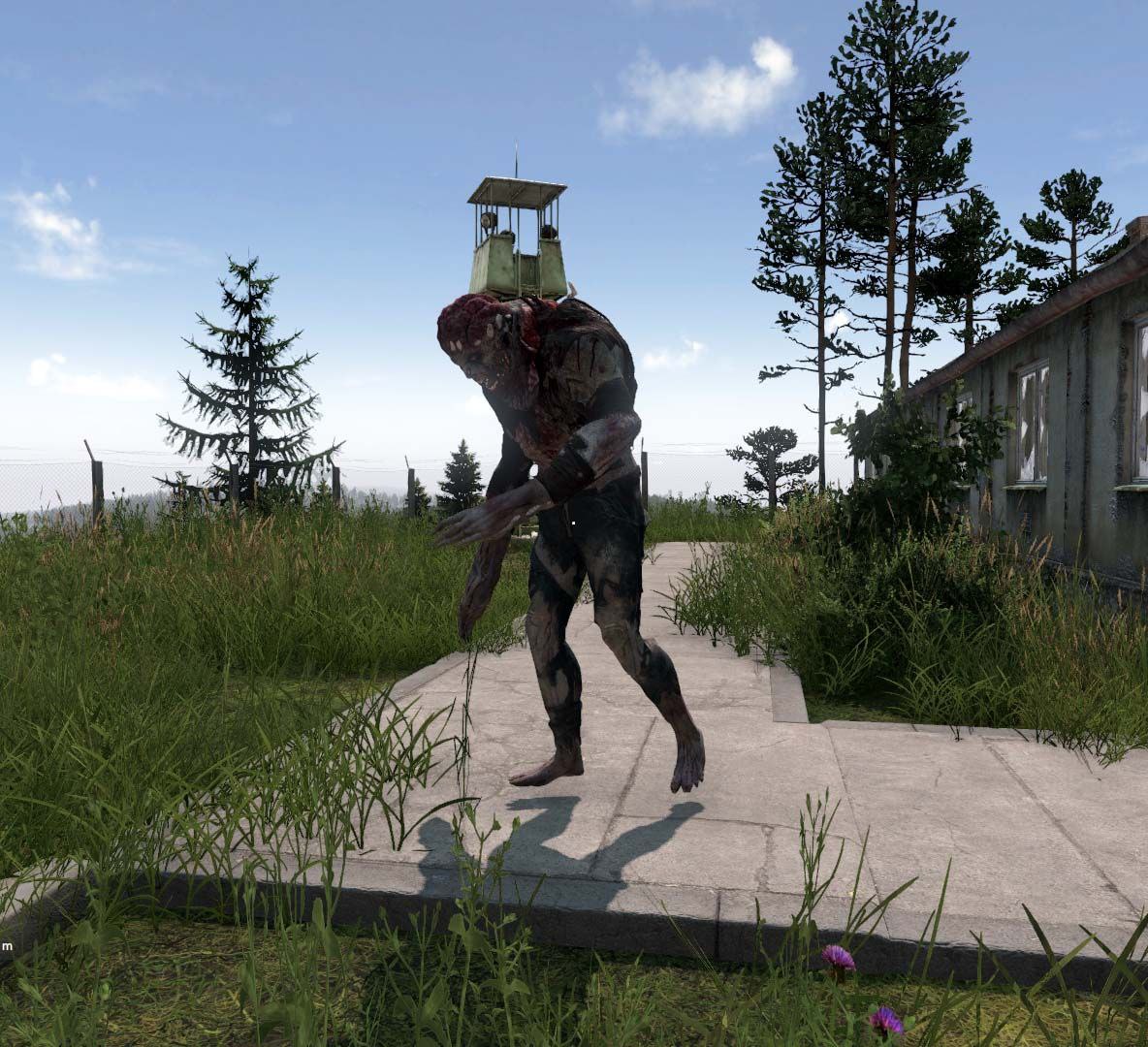 Изображение 6