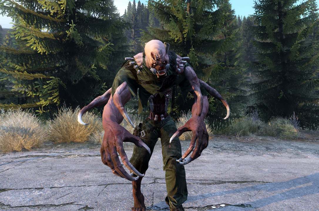 Изображение 0