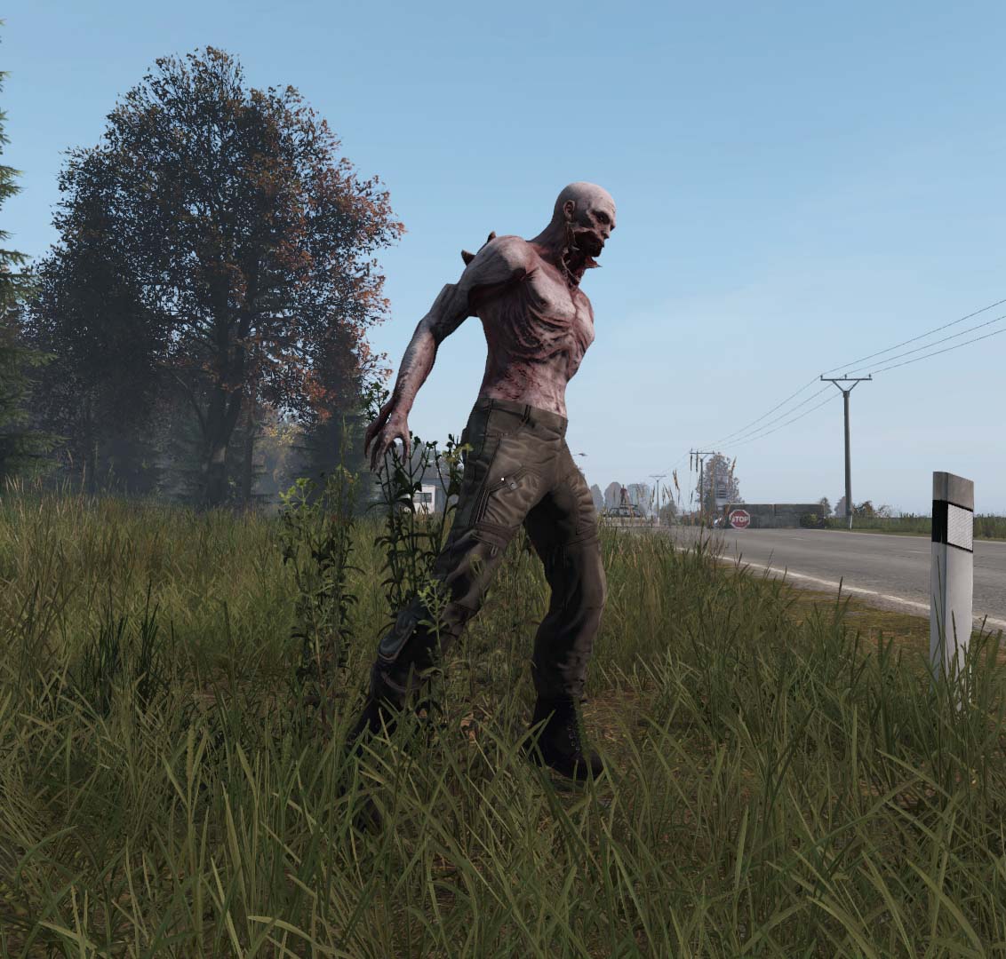 Миниатюра 10