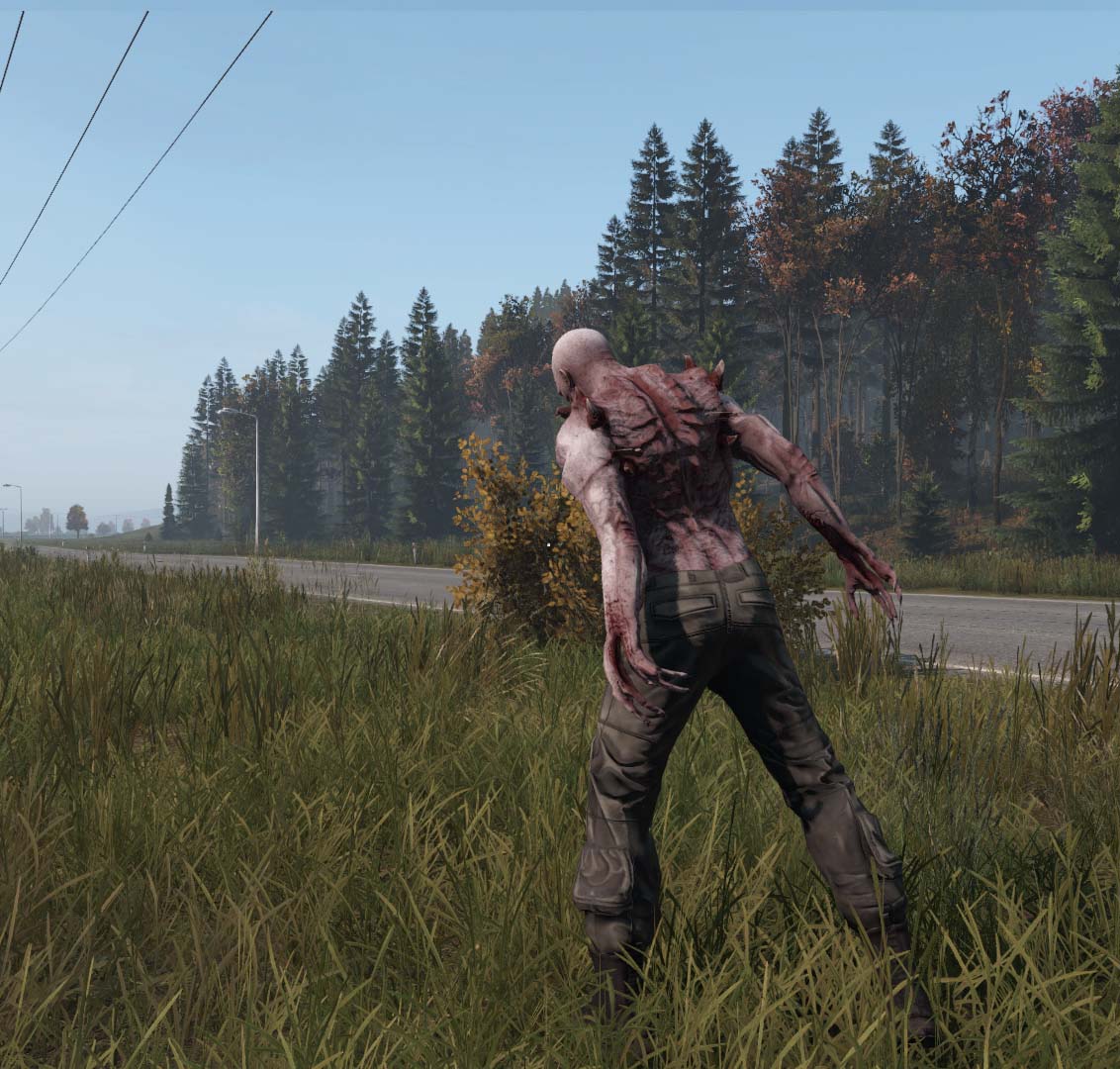 Миниатюра 11